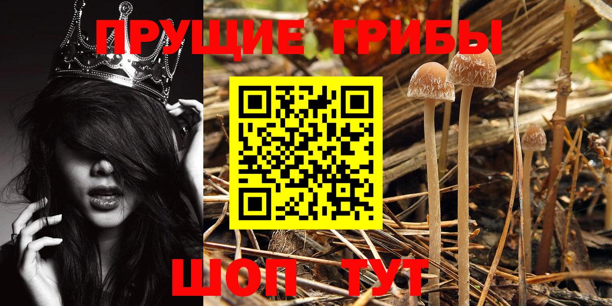 Галлюциногенные грибы GOLDEN TEACHER Кирово-Чепецк